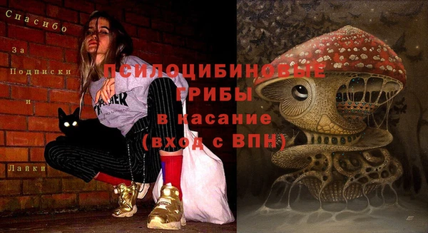 MDMA Богородск