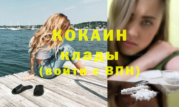 соль ск Богданович