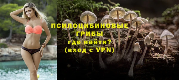 соль ск Богданович