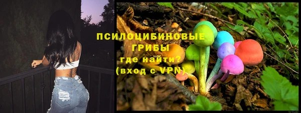 соль ск Богданович