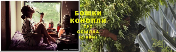 соль ск Богданович
