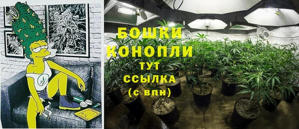 соль ск Богданович